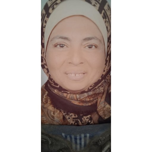 د. وفاء السيد محمود