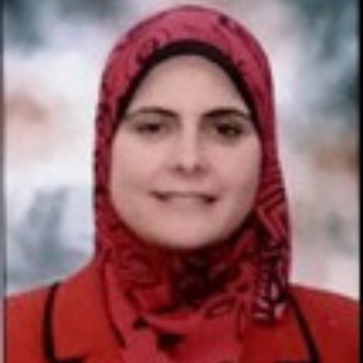 أ.م.د منال السعيد محمد